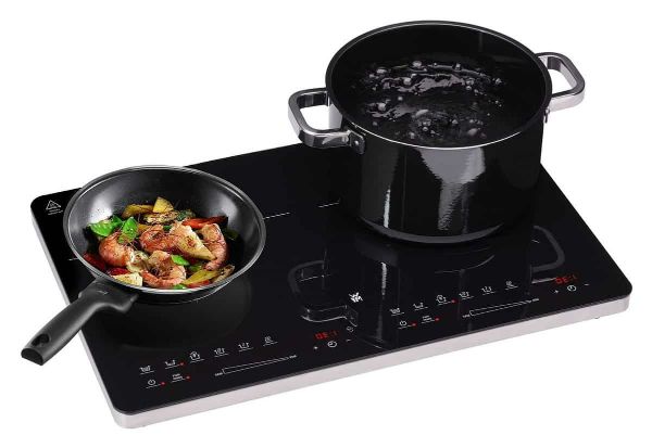 Bếp từ đôi gắn rời