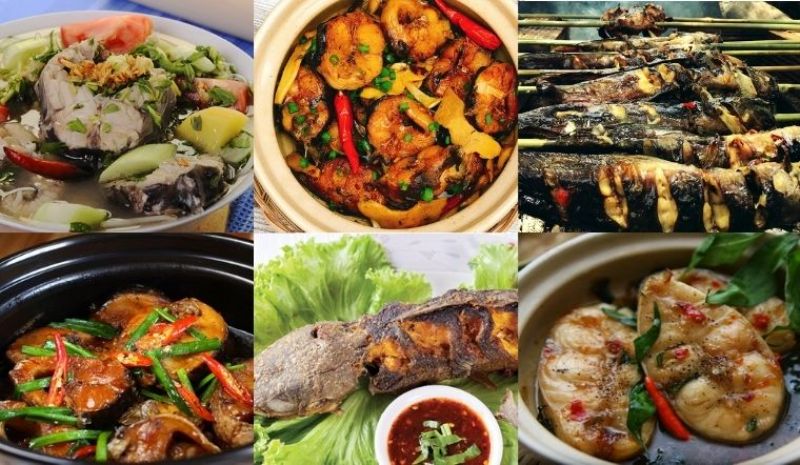Cá trê làm món gì ngon? Tổng hợp 10 món ăn ngon từ cá trê ai cũng mê 